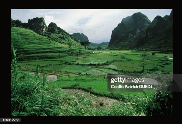 Rice fields in Cao Bang, north- east region of Vietnam.