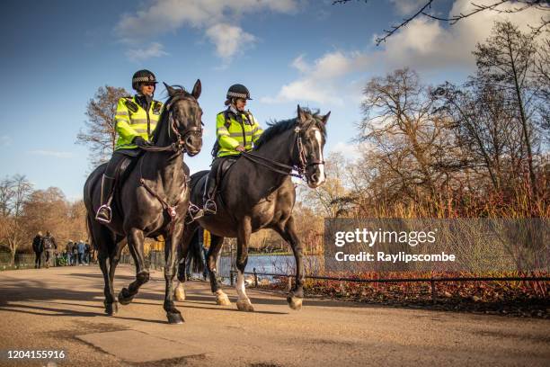 zwei berittene polizistinnen in einer gut sichtbaren jacke, die durch den st jame es park reiten und touristen im auge behalten, die in der nähe des buckingham palace herumlaufen. - enable horse stock-fotos und bilder