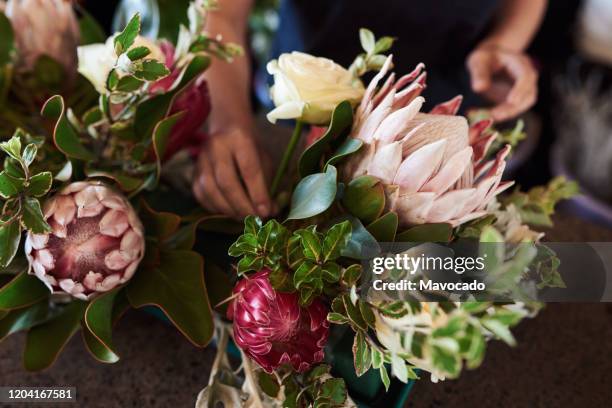 florist making a flower arrangement with proteas - flower bouquet stockfoto's en -beelden