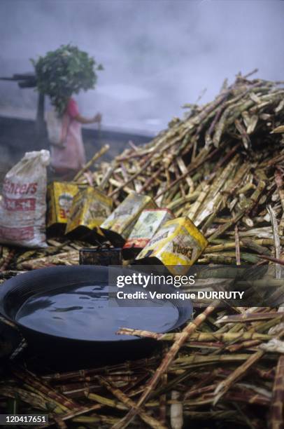 Mainit Photos and Premium High Res Pictures - Getty Images