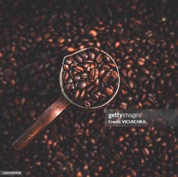 copper coffee pot with coffee beans, top view - roasted coffee bean stock pictures, royalty-free photos & images