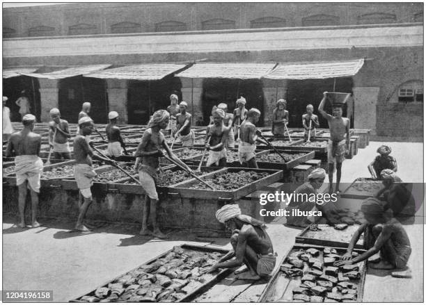 antique photograph of the british empire: manufacture of opium in india - british empire stock illustrations