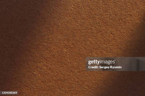 brown felt with shadow - castanho imagens e fotografias de stock