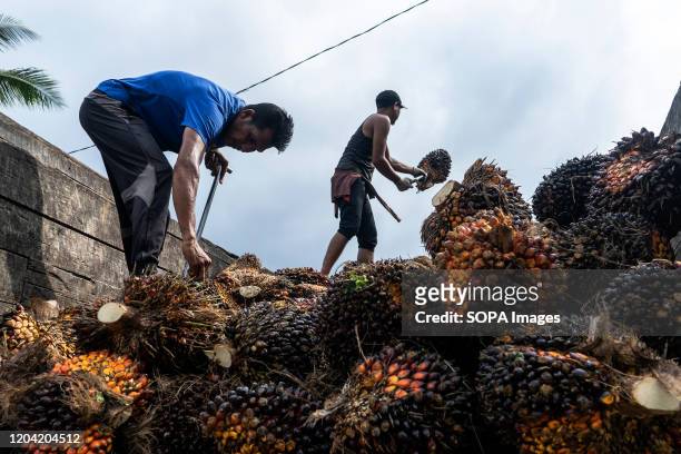Workers loading palm oil fruit on trucks at a business shelter in Geredong Pasee. Indonesia's chief economic minister, Airlangga Hartarto, said that...
