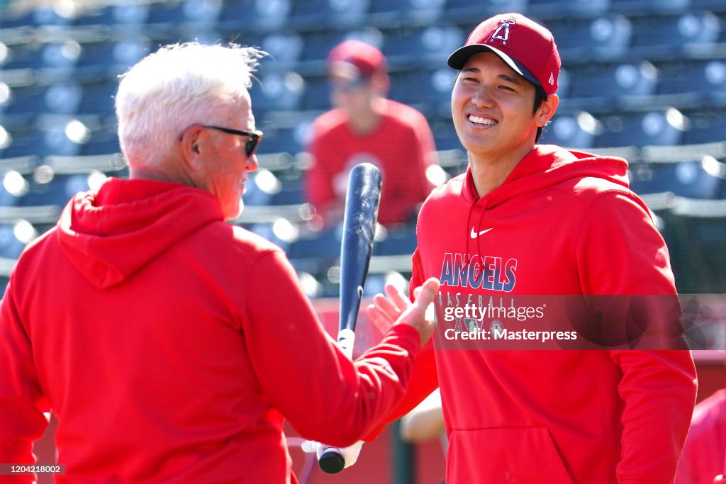 Los Angeles Angels Spring Training