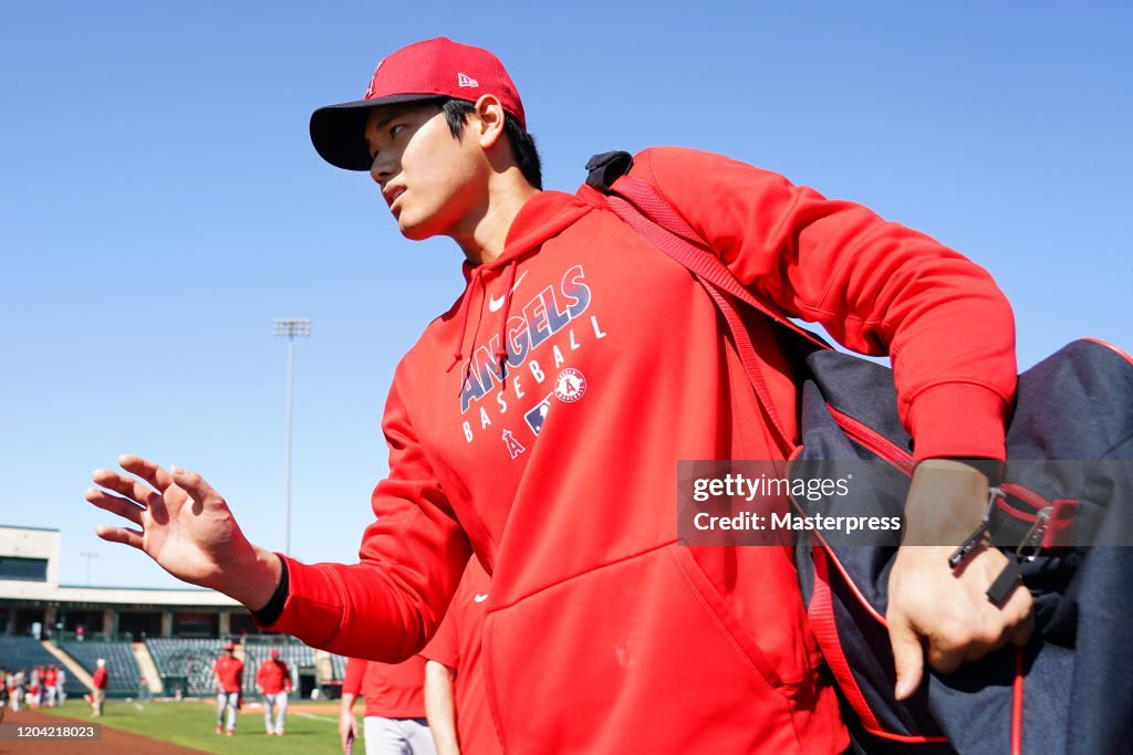 Los Angeles Angels Spring Training
