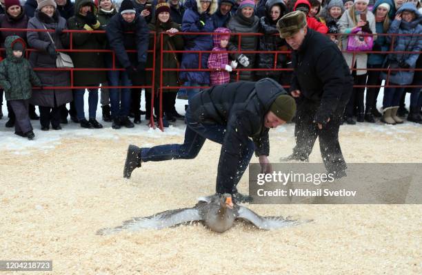 Goose breeder catches his goose during a traditional goose fight during celebrations of Maslenitsa, as Pancake week, on February 29, 2020 in Suzdal,...