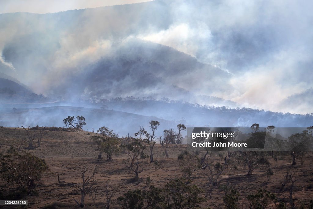 The Survivors: Saving Australian Wildlife Following Fires And Drought