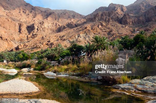 wadi tiwi, oman - riverbed fotografías e im�ágenes de stock