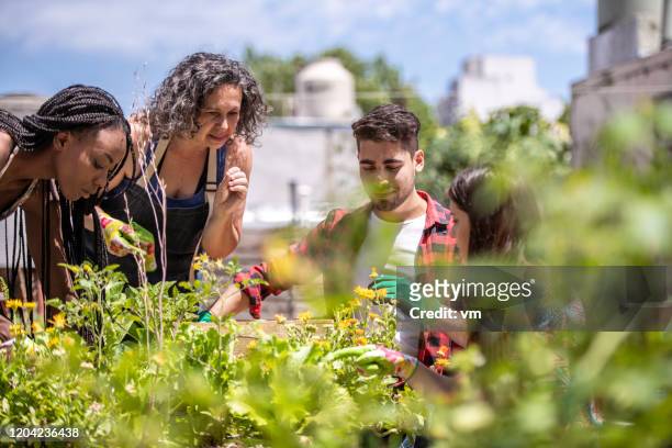 jonge mensen die stedelijke het tuinieren leren - community garden stockfoto's en -beelden