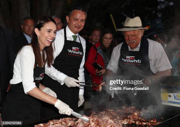 New Zealand Prime Minister Jacinda Ardern ) cooks on the barbeque with Green Party leader James Shaw and Dover Samuels on February 06, 2020 in...