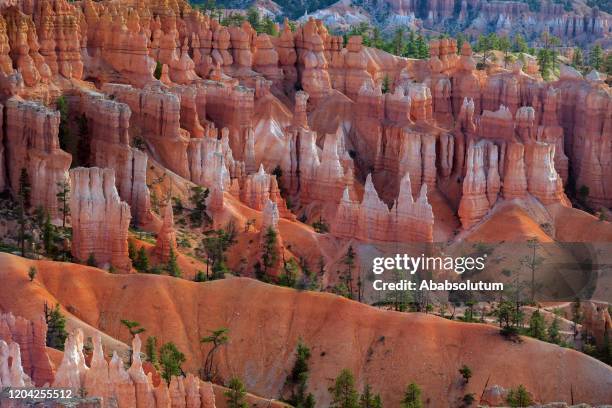 bryce canyon national park in usa - rock hoodoo stock pictures, royalty-free photos & images