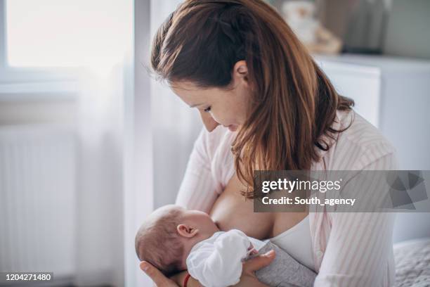 mère allaitant le bébé - poitrine photos et images de collection
