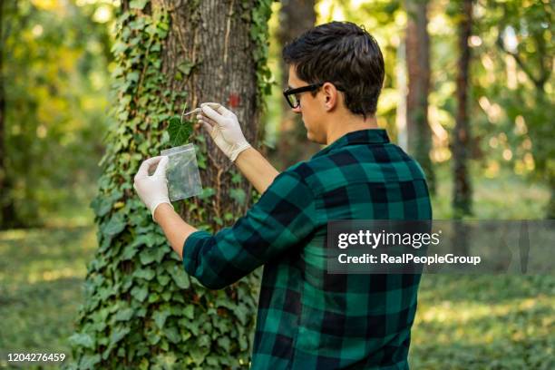 junger forscher im wald - university students real studying stock-fotos und bilder