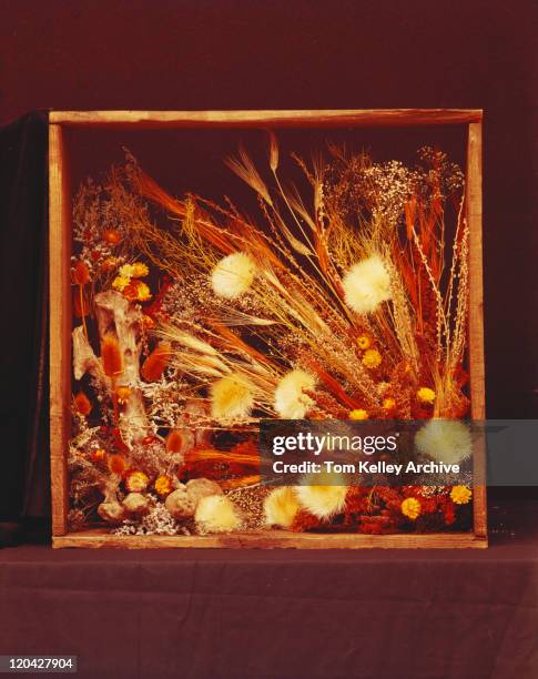 flowers in wooden frame - 1974 stock pictures, royalty-free photos & images