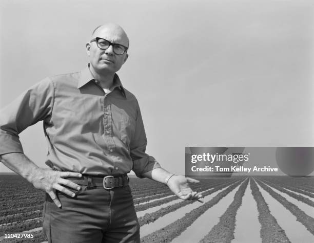 mature man gesturing at ploughed field, portrait - 1977 stock pictures, royalty-free photos & images