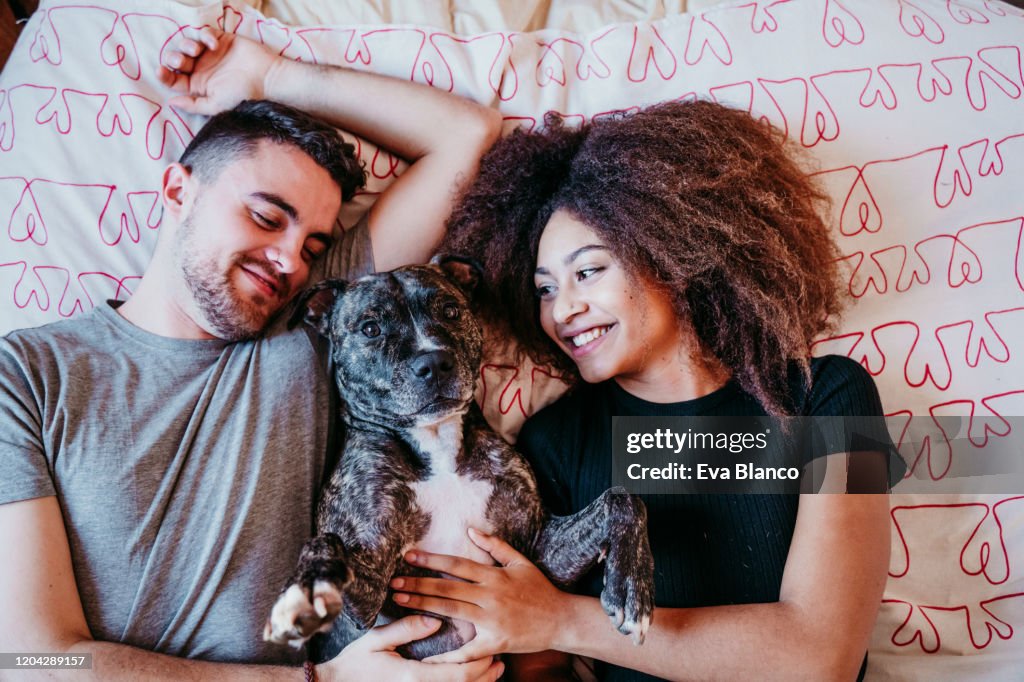 Happy couple in love at home. Afro american woman, caucasian man and their pit bull dog together. Family concept