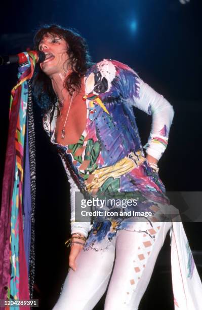Aerosmith lead singer Steven Tyler performs during the band's Permanent Vacation Tour on December 5 at the Joe Louis Arena in Detroit, Michigan.