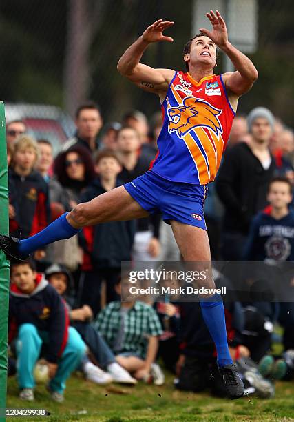 Wayne Carey playing for the Maribyrnong Lions flies for a mark during the Essendon Distrct Football League AFL match against Avondale Heights at...