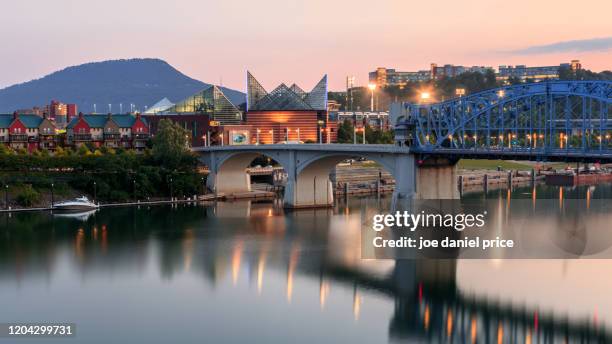 tennessee aquarium, lookout mountain, chattanooga, tennessee, america - chattanooga foto e immagini stock
