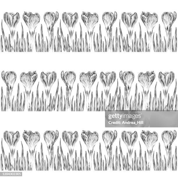 crocus flowers seamless pattern pen and ink vector illustration - hello spring background stock illustrations
