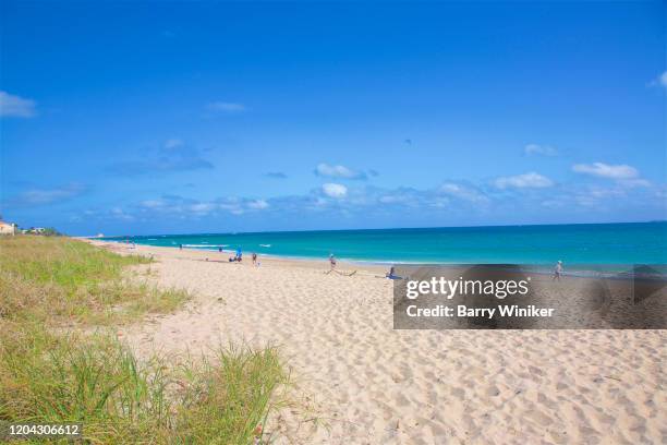 60 Ocean Ridge Fla Stock Photos, High-Res Pictures, and Images - Getty ...