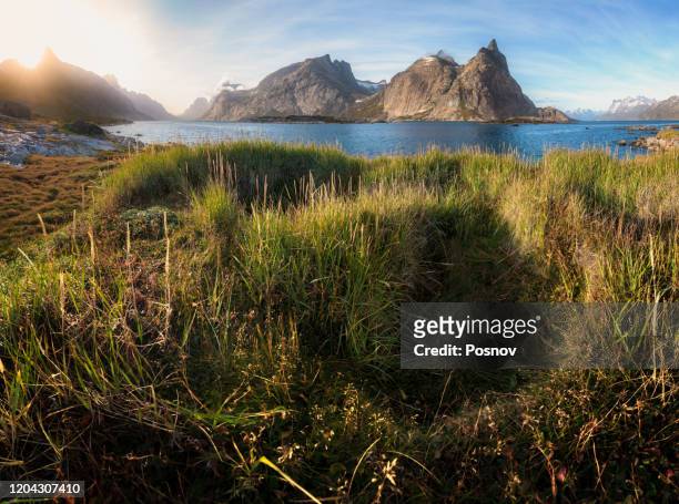 old greenlandic ruins at pamiagdluk island in south greenland - viking stock pictures, royalty-free photos & images