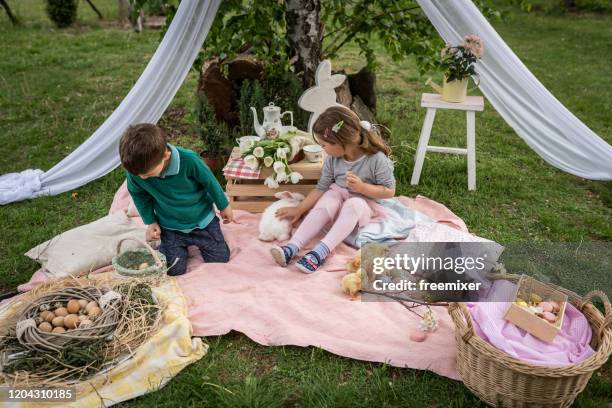 little brother and sister on easter egg hunt in blooming spring garden - baby chicken stock pictures, royalty-free photos & images