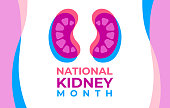 The National Kidney Month vector illustration. Two human kidneys in an abstract trend style. American educational campaign. Banner, poster for prevention of kidney diseases.