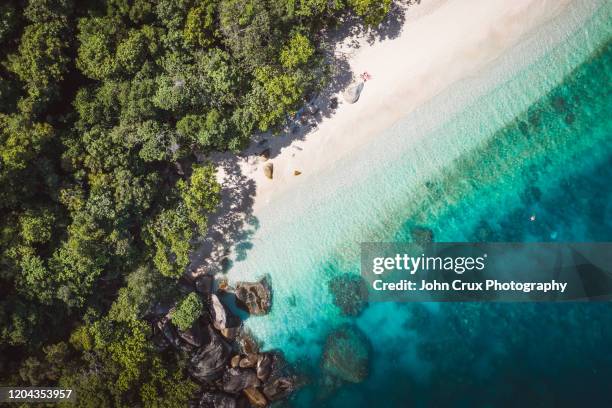 fitzroy island beach reef - great barrier reef aerial ストックフォトと画像