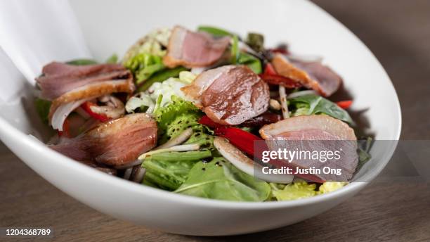 duck salad - ankbröst bildbanksfoton och bilder