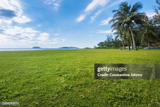 tropical beach side view with coconut trees, green grass and blue sky - kota kinabalu beach stock pictures, royalty-free photos & images