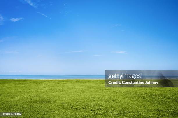 blue sky and green grass by the sea - clear sky stockfoto's en -beelden