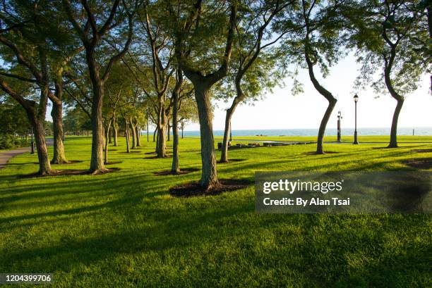 sunshine in the park - northwestern stock pictures, royalty-free photos & images