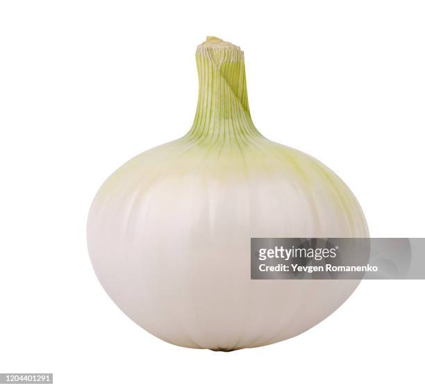 white onion isolated against white background - zwiebel stock-fotos und bilder