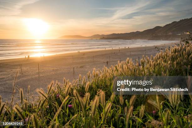 pismo beach at sunset. beach on california's central coast, usa - pismo beach stock pictures, royalty-free photos & images