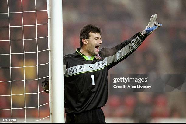 Pavel Srnicek in goal for the Czech Republic during an International Friendly against Holland at the Philips Stadion in Eindhoven, Holland. The game...