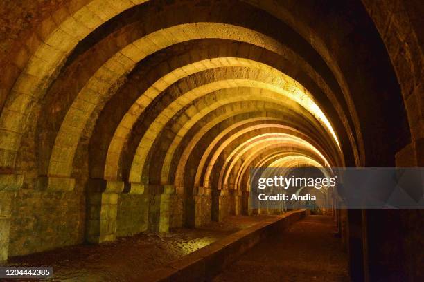 Salins-les-Bains : salt mine ÒLa Grande SalineÓ, site registered as a UNESCO World Heritage Site and a National Historic Landmark . The underground...