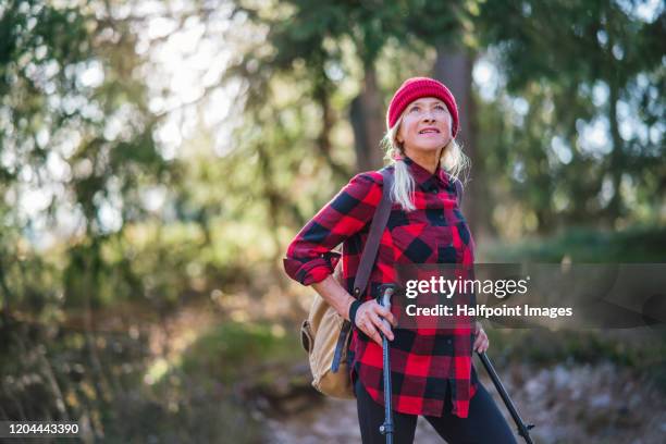 senior woman hiking in forest in autumn nature. copy space. - senior women hiking stock pictures, royalty-free photos & images