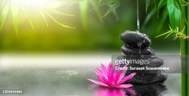 spa massage, natural alternative treatment (hot stone massage) - tranquility spa stock pictures, royalty-free photos & images