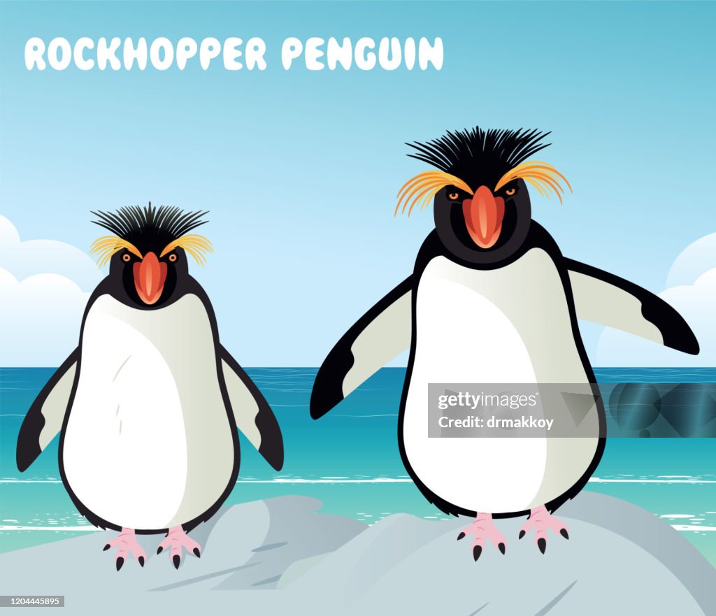 Penguin
