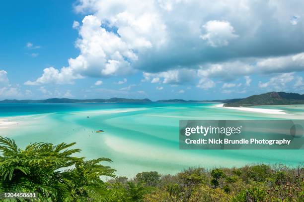 whitsunday islands, queensland, australia - praia whitehaven - fotografias e filmes do acervo