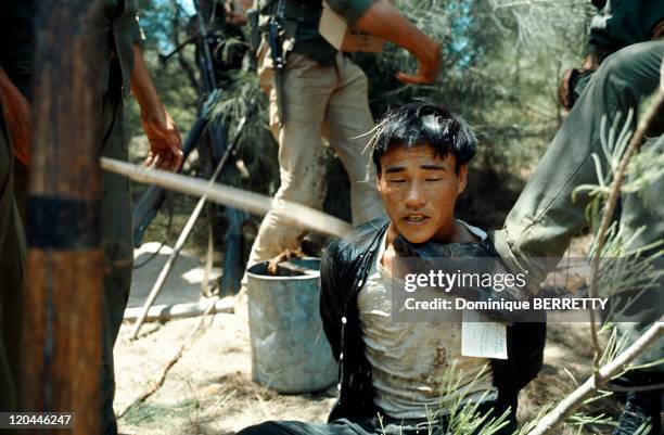Viet Nam War in 1965 - Vietnamese prisoners.