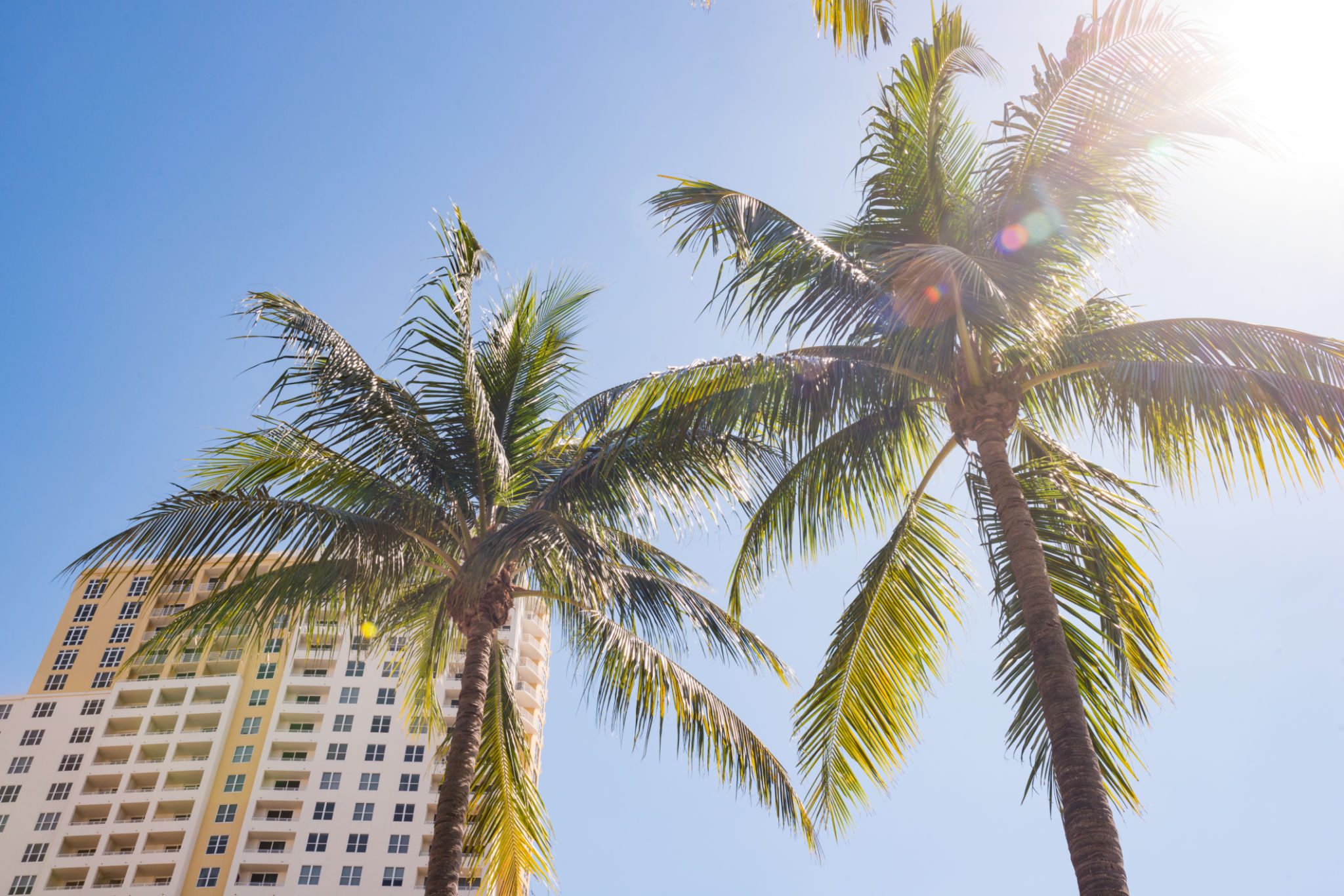 fort lauderdale rental