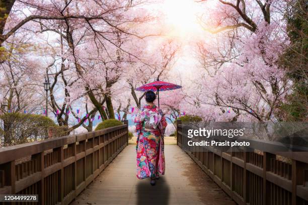 asian women wearing traditional japanese kimono with red umbralla walking in kasuga park with cherry blossom in background in spring season in nagano, japan. woman walking to sightseeing in japan. - geisha 個照片及圖片檔