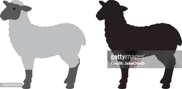 sheep silhouette - sheep stock illustrations