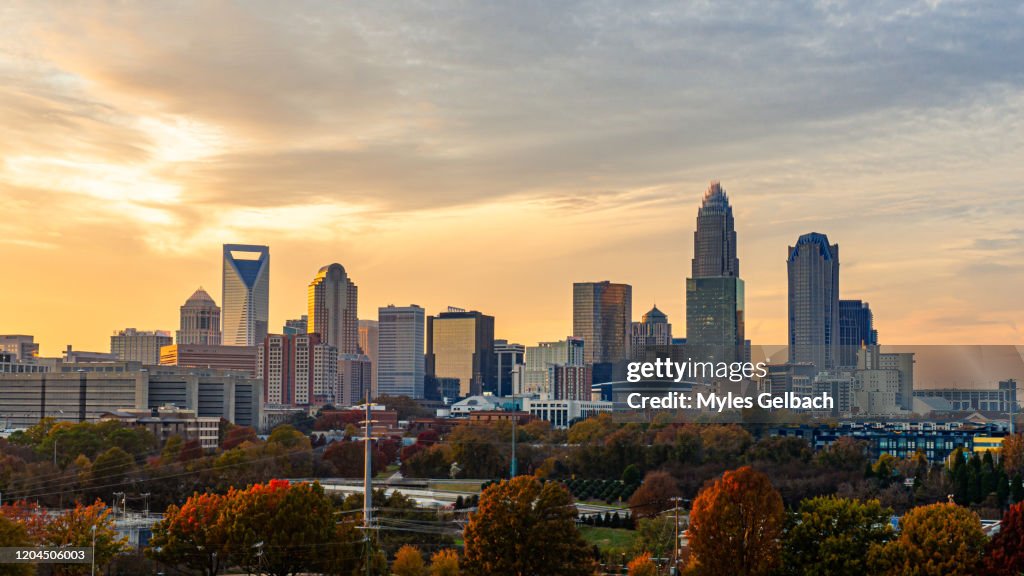 Charlotte during Golden Hour