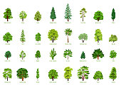 Big Vector cartoon set with trees isolated