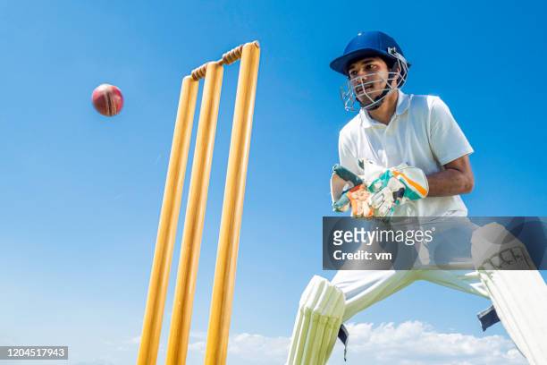 wicket-keeper preparing to catch the ball - cricket player imagens e fotografias de stock