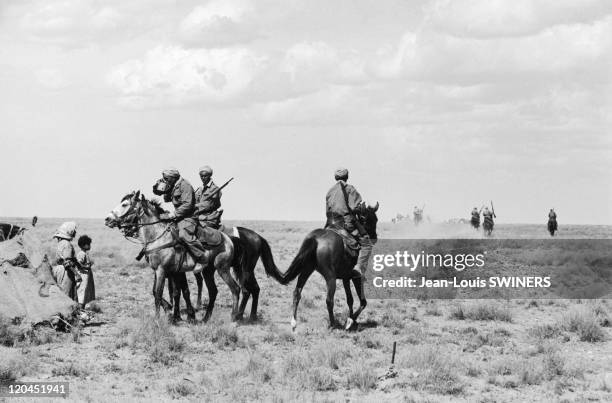 The Algerian War in Algeria in 1959 - Troop of harkis on a military operation.